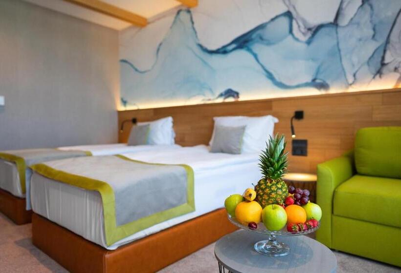 标准间, Spa Complex Belchin Spring