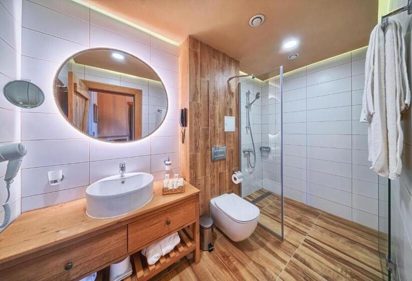 标准工作室, Spa Complex Belchin Spring