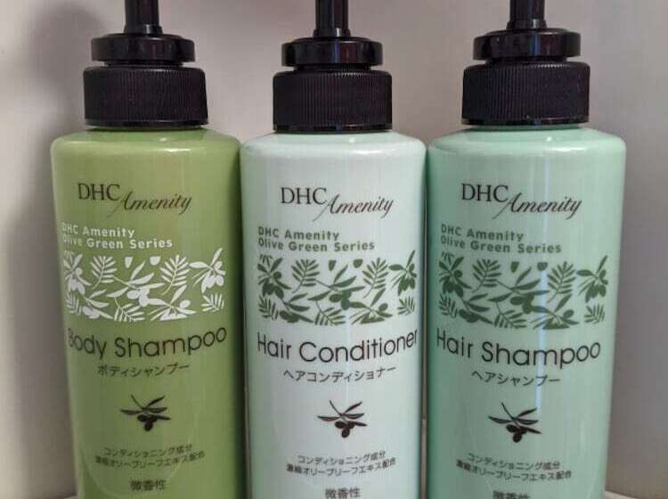 스탠다드 싱글 룸, Chisun Inn Nagoya