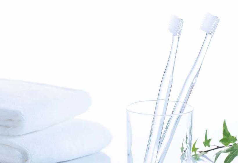 스탠다드 룸, Comfort Hotel Hakata