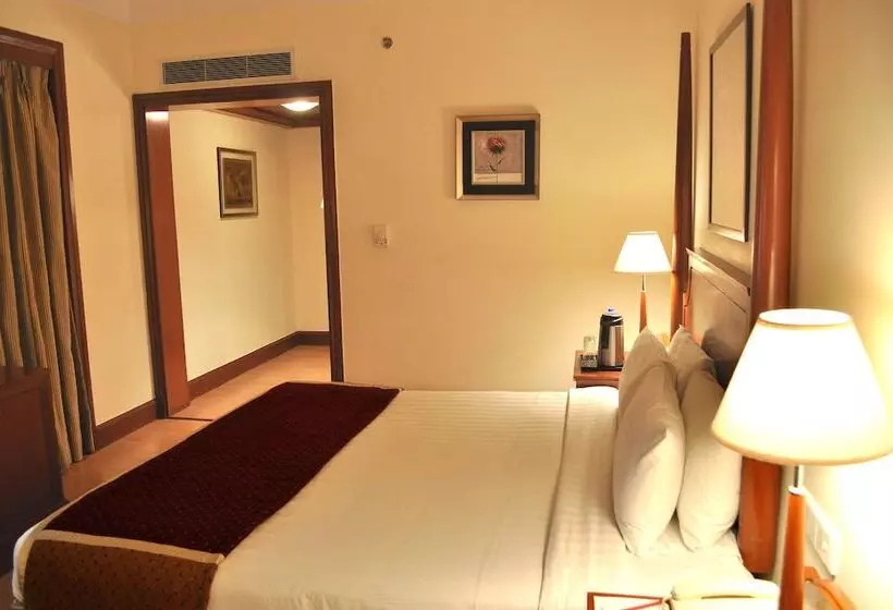 اتاق سوپریور, Park Prime Jaipur