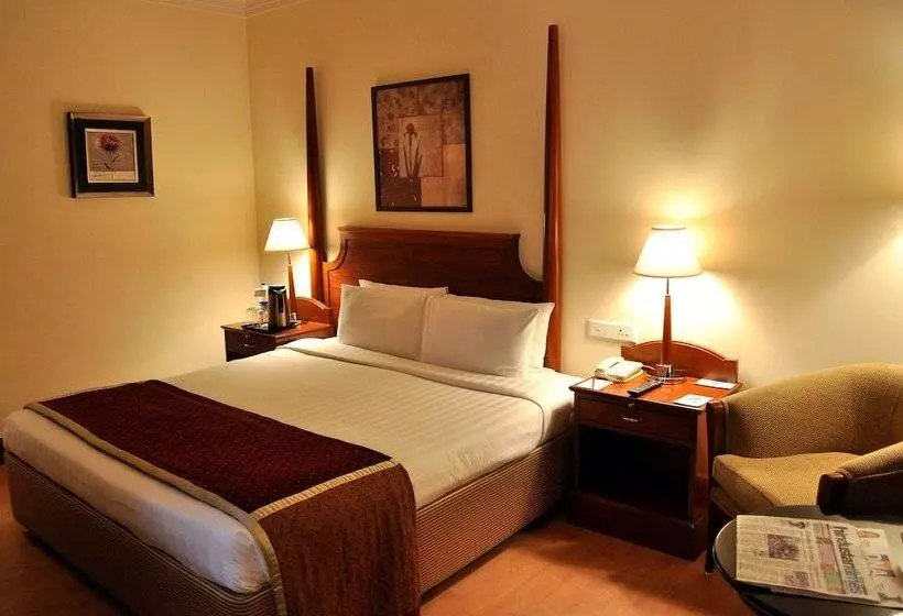 اتاق لوکس, Park Prime Jaipur