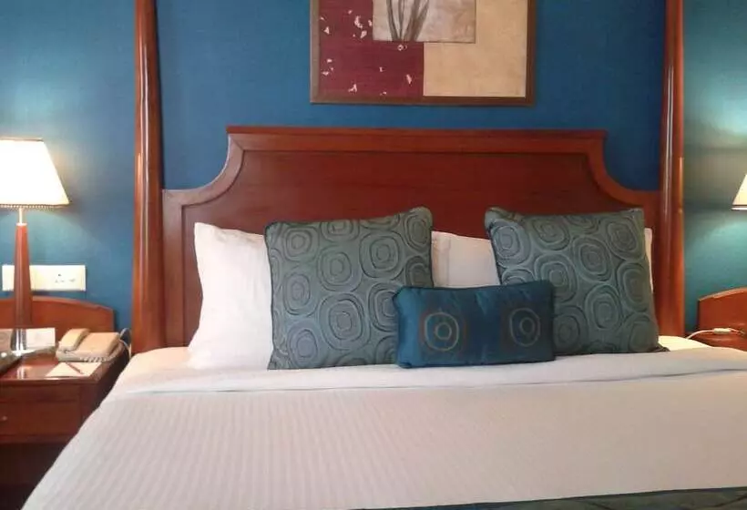 اتاق لوکس, Park Prime Jaipur