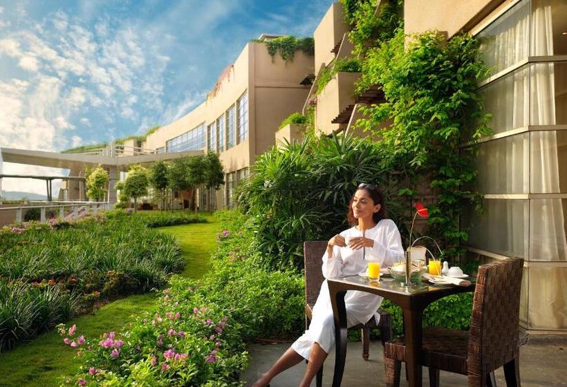 带观景和大床的豪华房间, Pulse Grande