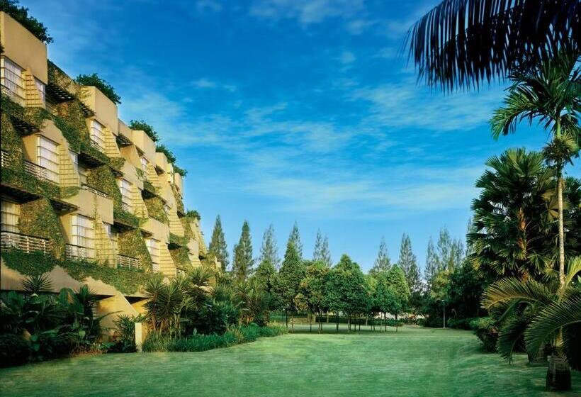 带大床的豪华间, Pulse Grande