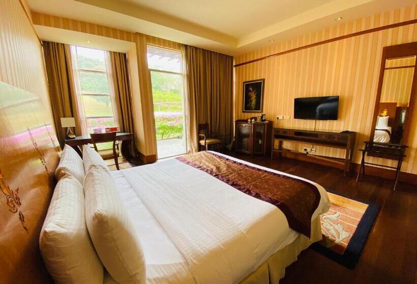 带观景的豪华间, Pulse Grande