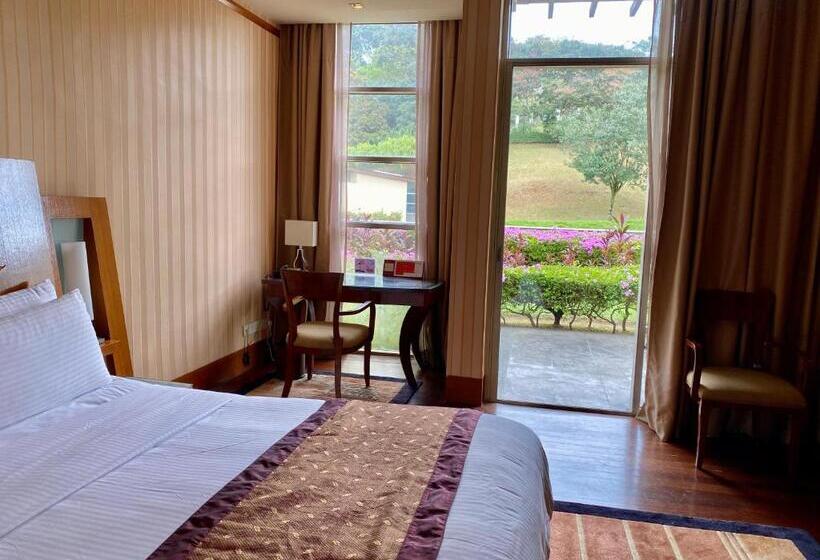 带观景的豪华间, Pulse Grande