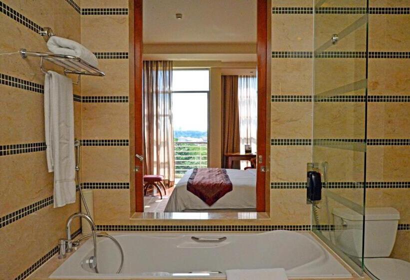 豪华园景房, Pulse Grande