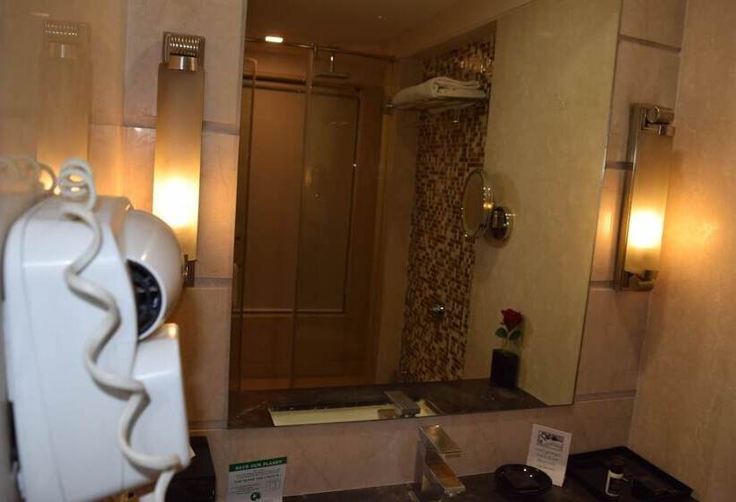 스탠다드 룸, The Bristol