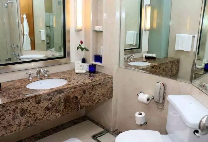 اتاق سوپریور با چشم‌انداز باغ, Trident Gurgaon