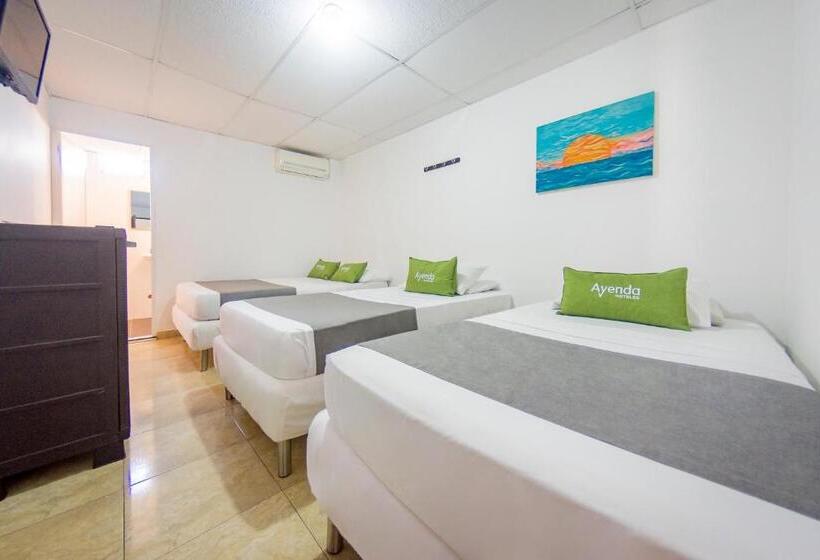 Четырехместный Номер Стандарт, Puerto Vigia