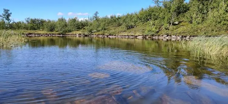 اتاق استاندارد چهار تخته, Hakkesetstølen Fjellstugu