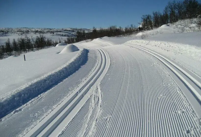 اتاق استاندارد چهارنفره با سرویس بهداشتی مشترک, Hakkesetstølen Fjellstugu