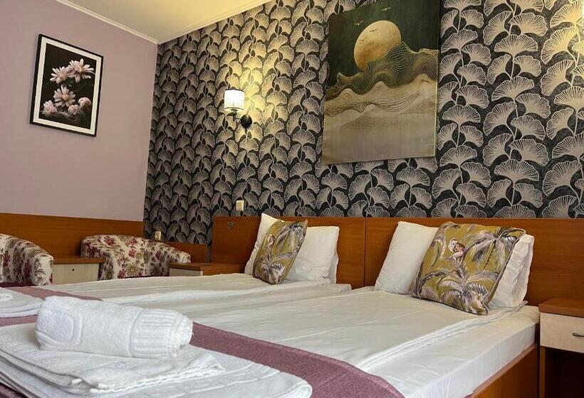 스탠다드 룸, Violeta