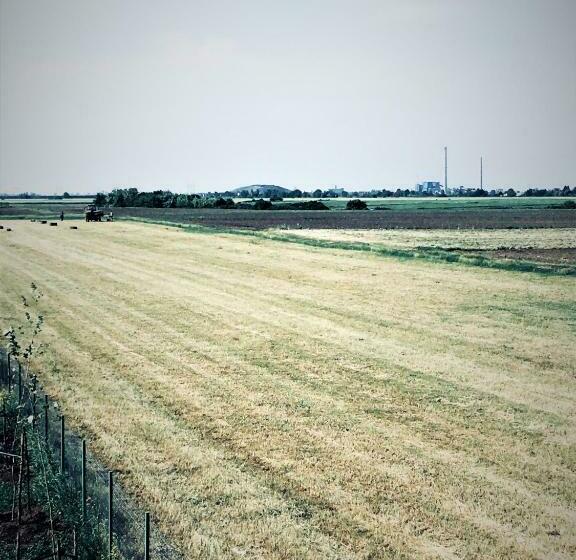 キングサイズベッドのスタンダードルーム, Frăgăria