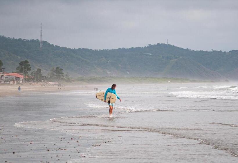 Люкс Вид на Море, Hostal Mirada Al Mar