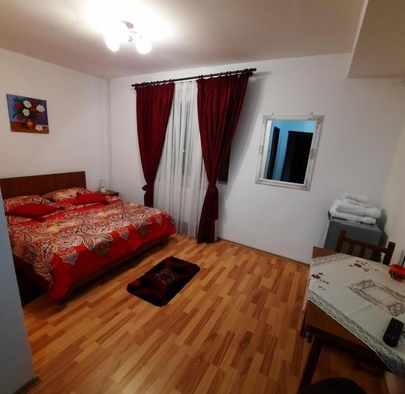 חדר סטנדרט, Pensiunea Maria Elena