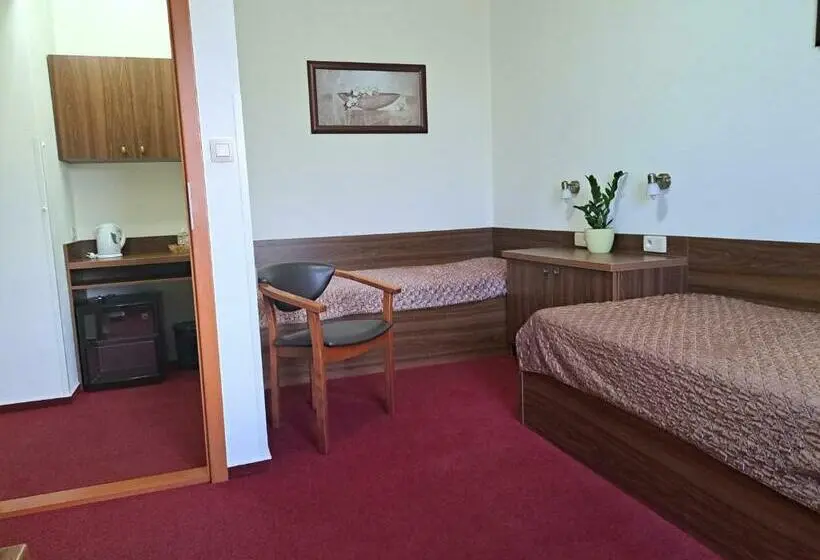 スタンダードルーム, Penzion Kozak B&b