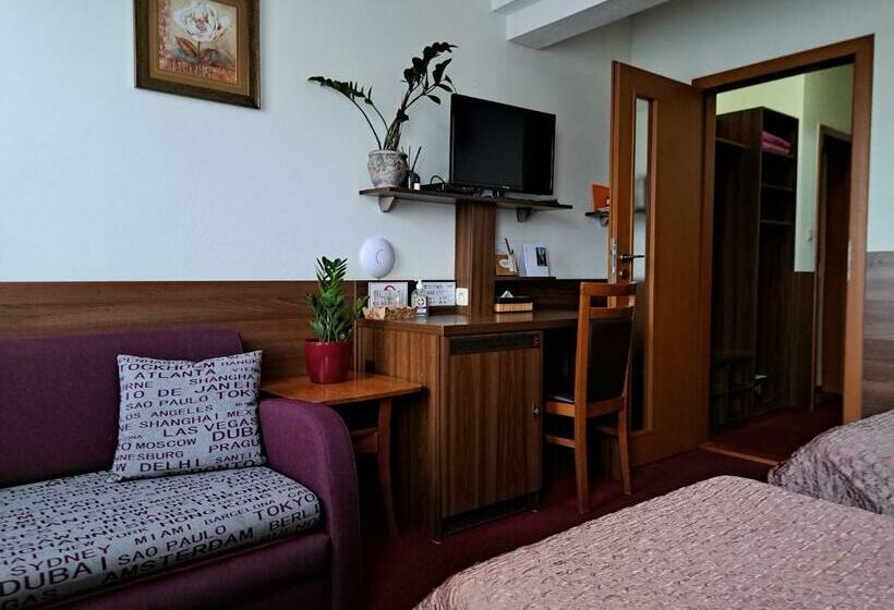 غرفة قياسية, Penzion Kozak B&b