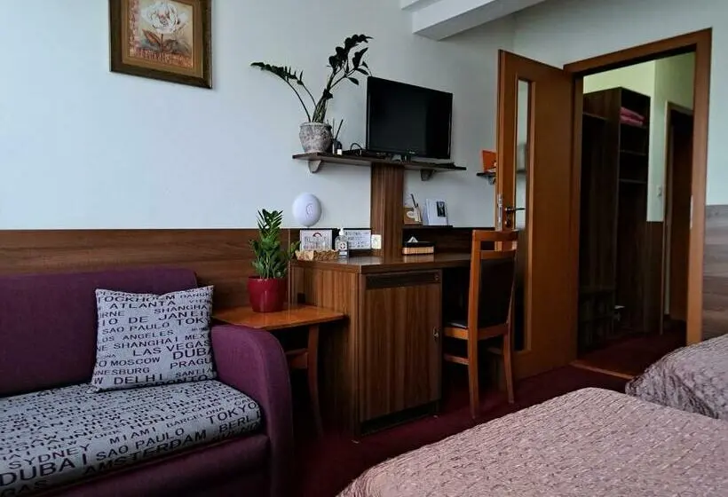 スタンダードルーム, Penzion Kozak B&b