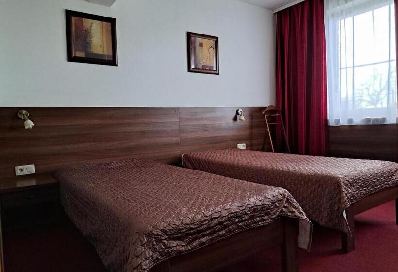 חדר סטנדרט, Penzion Kozak B&b