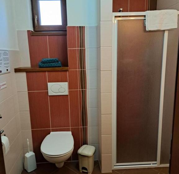 غرفة قياسية, Penzion Kozak B&b