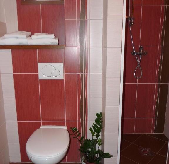 غرفة قياسية, Penzion Kozak B&b