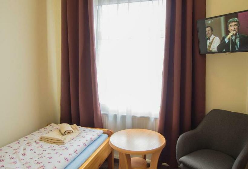 חדר סטנדרט יחיד, Pension U Koupaliště