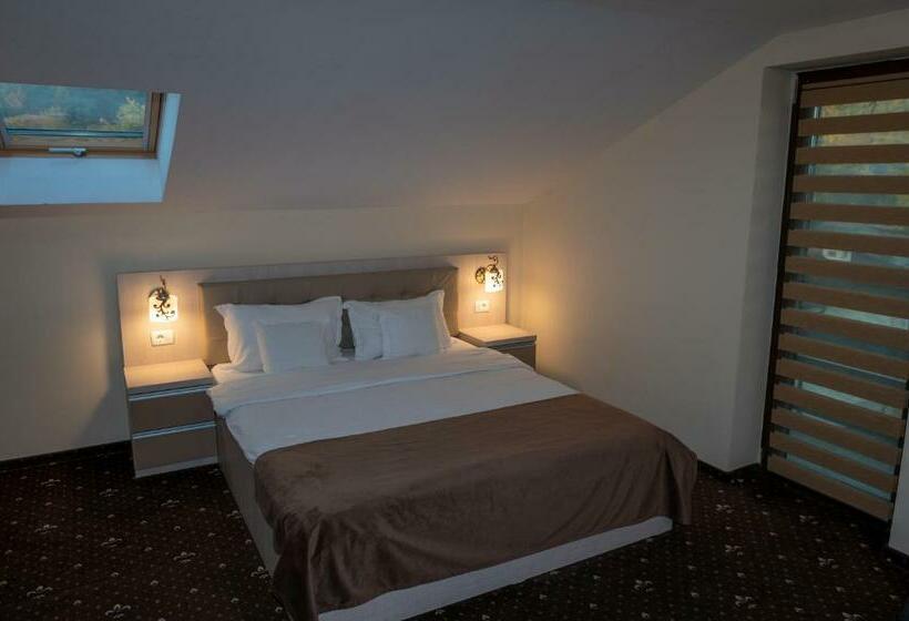 חדר סופריור עם מיטת קינג, Pensiunea Gabriel