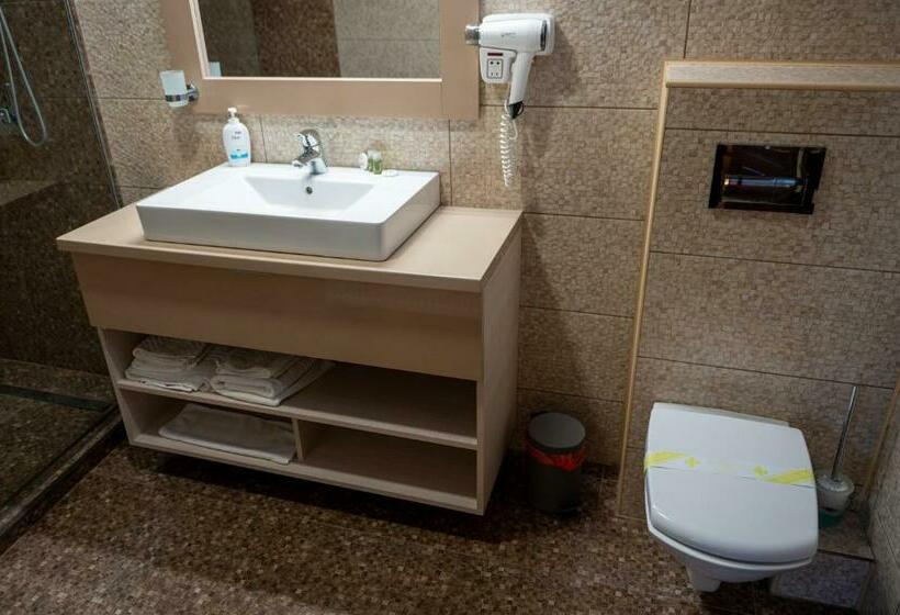 חדר דלוקס, Pensiunea Gabriel