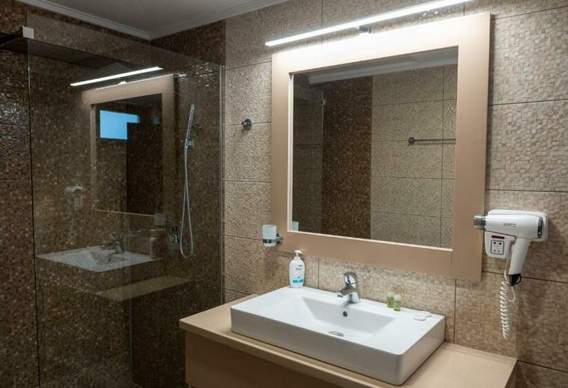 Номер Deluxe, Pensiunea Gabriel