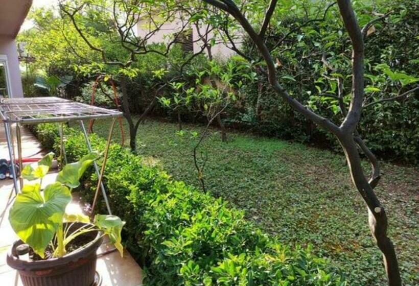 اتاق استاندارد با بالکن, Rooms Kuljic