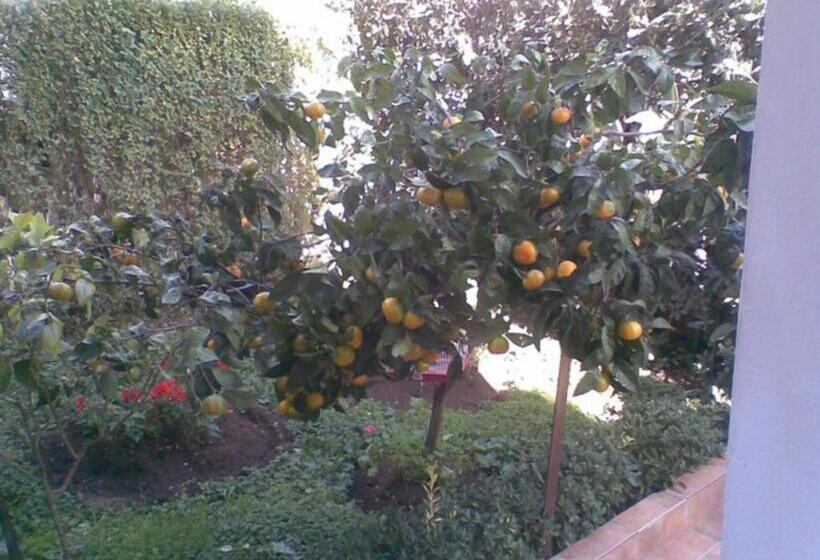 اتاق استاندارد با بالکن, Rooms Kuljic