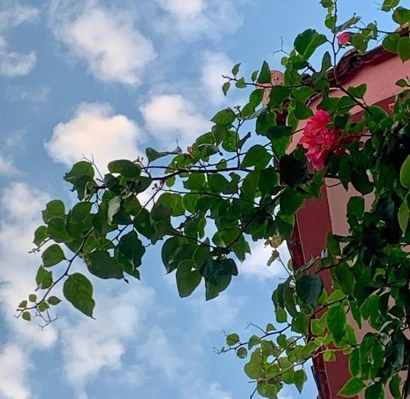 اتاق استاندارد با بالکن, Rooms Kuljic