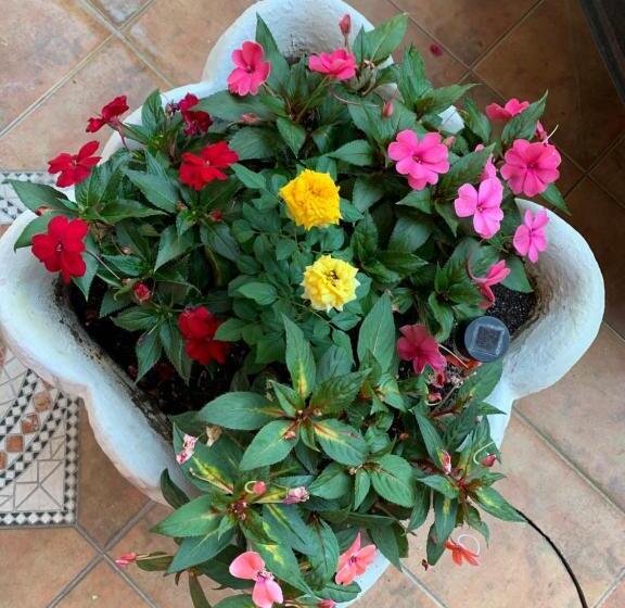 اتاق استاندارد با بالکن, Rooms Kuljic