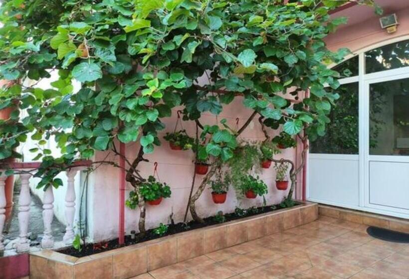 آپارتمان 1 خوابه همکف, Rooms Kuljic