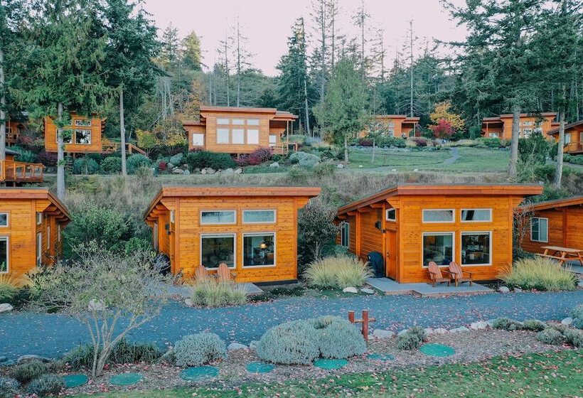 豪华小屋, Snug Harbor Resort