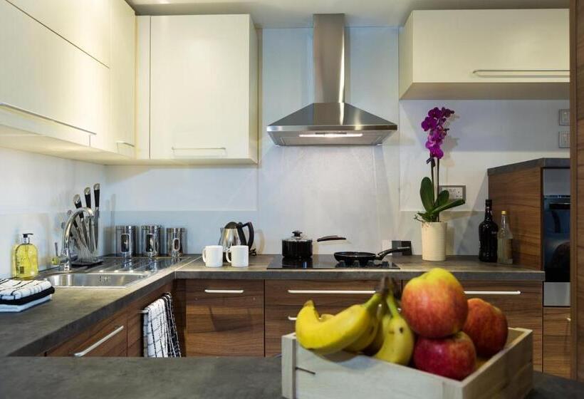 דירת חדר דלוקס, Livin  Serviced Apartments