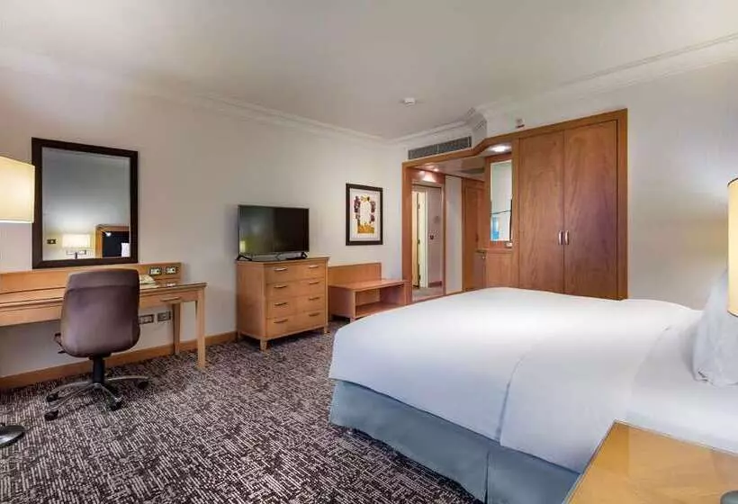 اتاق اجرایی با تخت بزرگ, Adana Hiltonsa