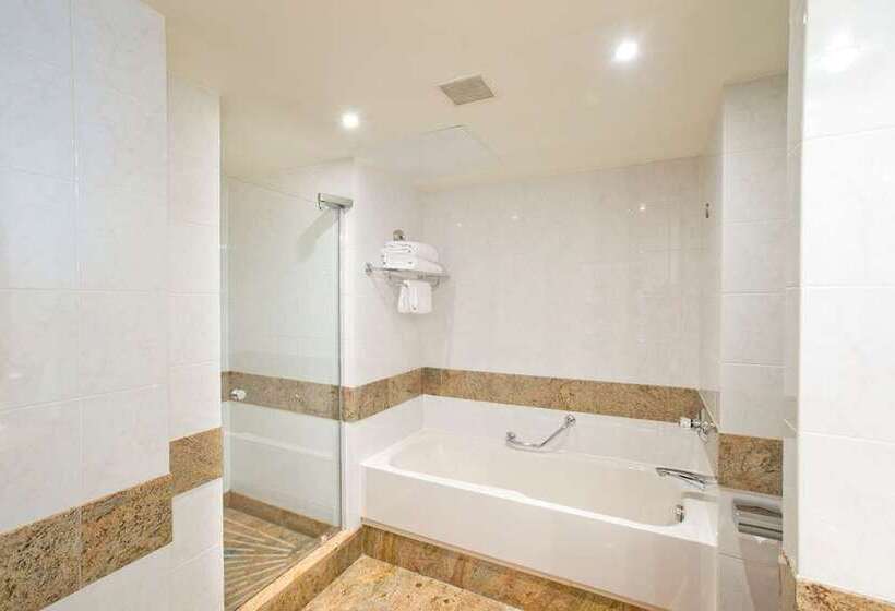 اتاق اجرایی با تخت بزرگ, Adana Hiltonsa