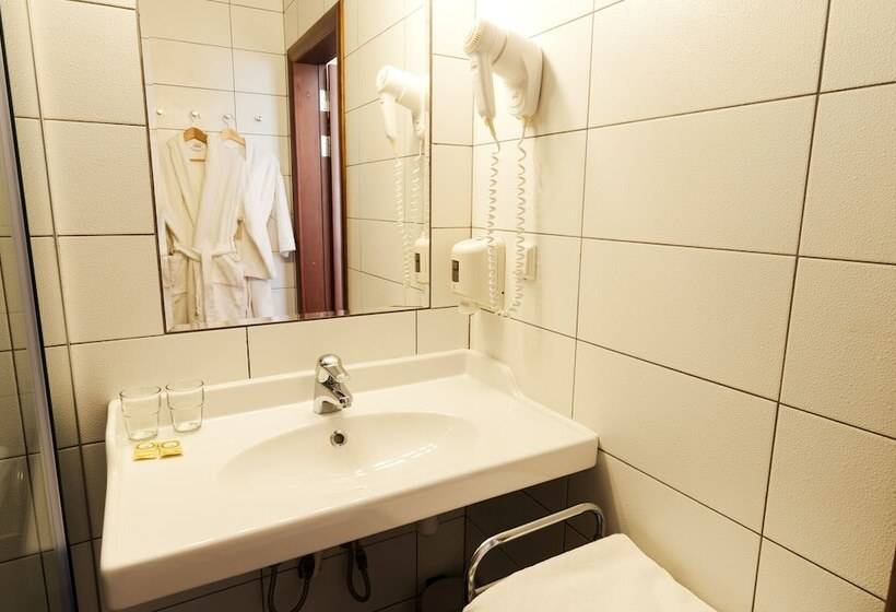 اتاق استاندارد, The Brothers Karamazov