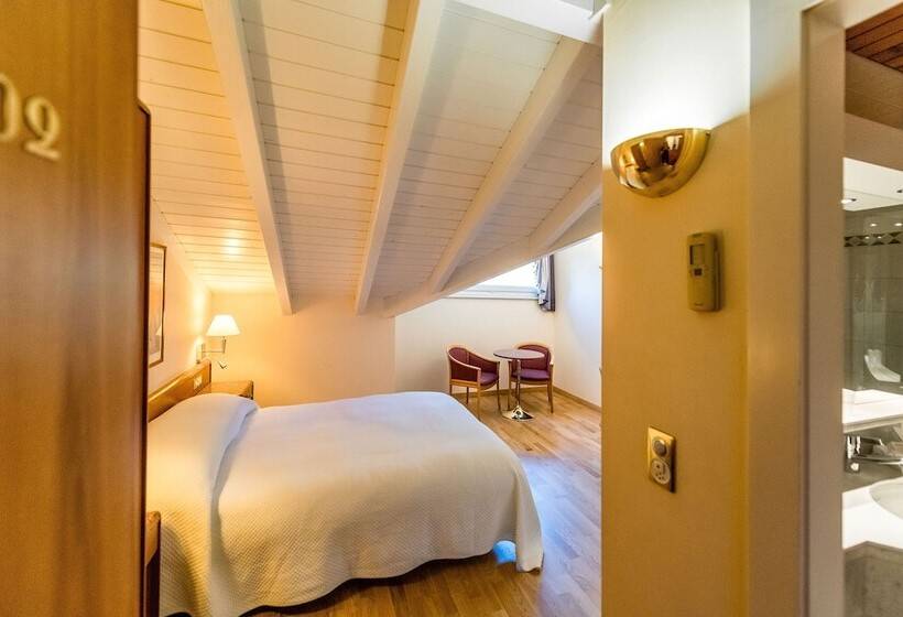 غرفة قياسية, Des Bains De Saillon