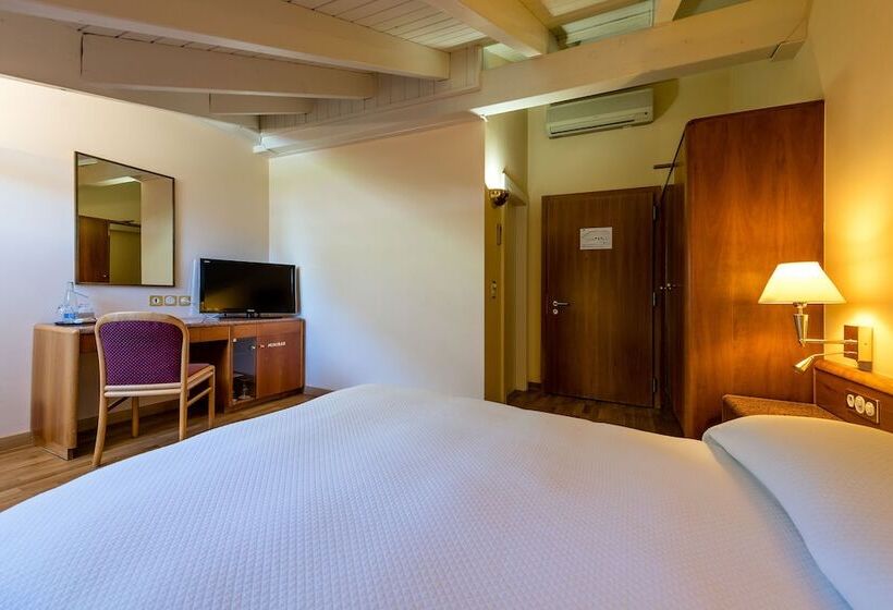 غرفة قياسية, Des Bains De Saillon