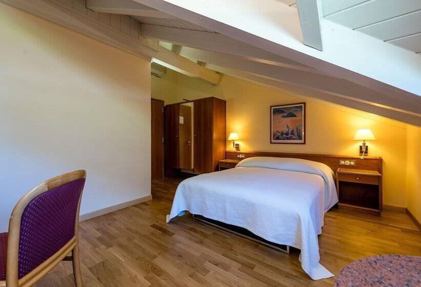 غرفة قياسية, Des Bains De Saillon