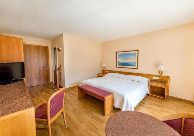 غرفة سوبيريور, Des Bains De Saillon