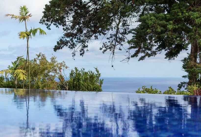 标准三人间, Dom Pedro Garajau