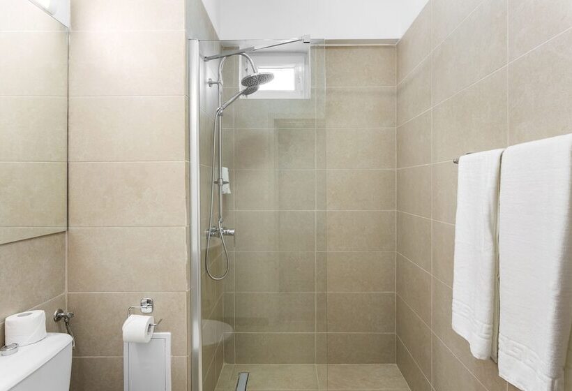 اتاق استاندارد, Elizeu