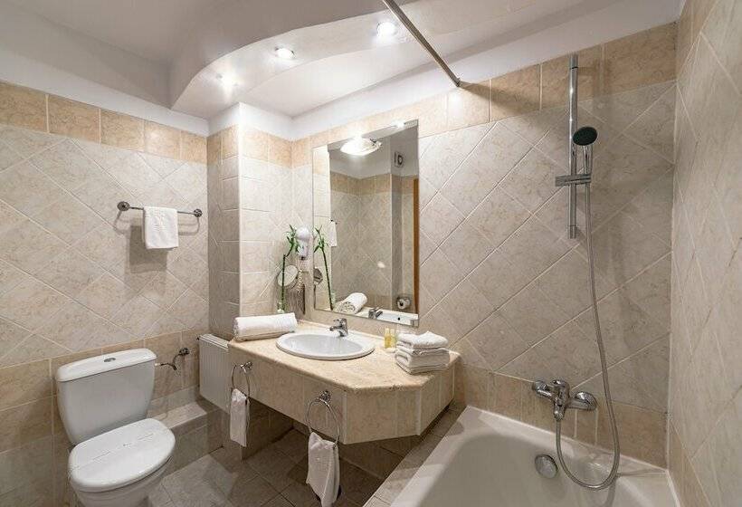 스탠다드 도시전망 룸, Alexandrion Experience