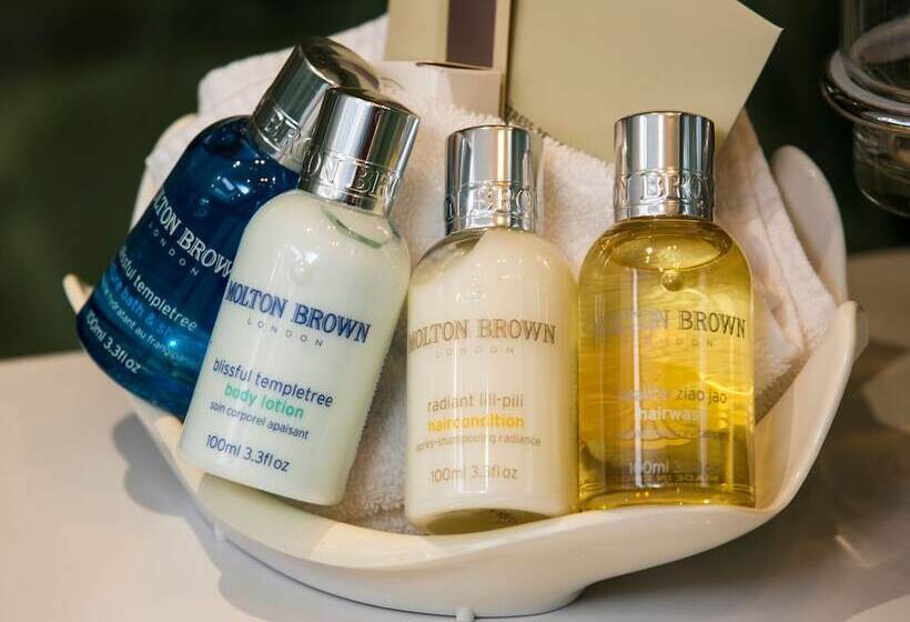 سوییت لوکس, Resort Hotel Alex Zermatt