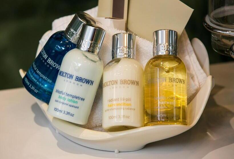 سوییت لوکس, Resort Hotel Alex Zermatt